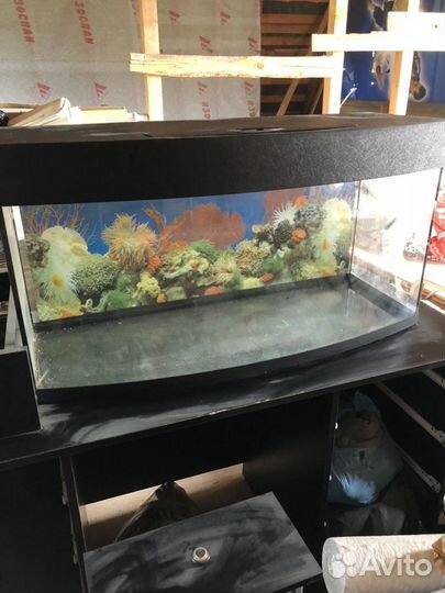 Панорамный аквариум