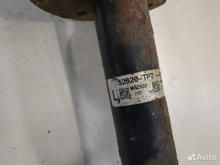 Амортизатор подвески Honda Crosstour, 2010