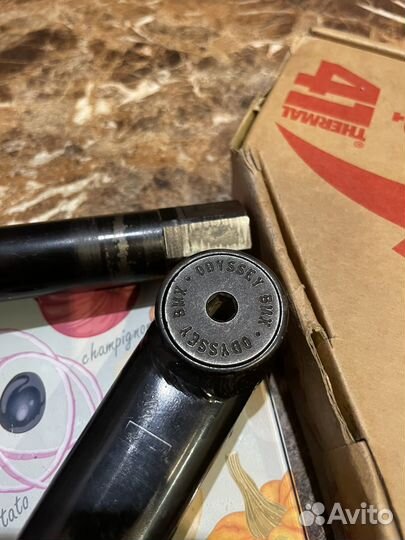 Eclat Cortex Freecoaster lhd