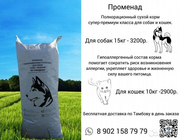 сухой корм променад для кошек. блэк дог корм для собак 20 кг. променад корм для собак. корм для собак променад. корм для собак променад.