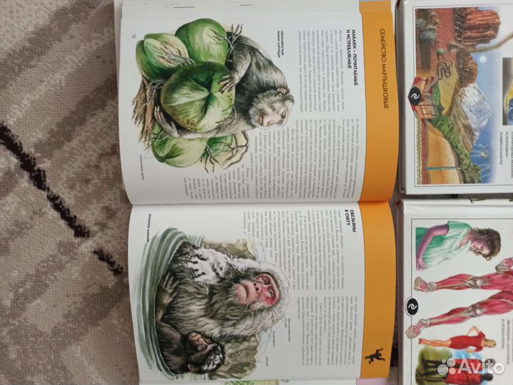 Энциклопедия для детей