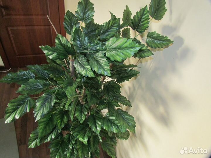 Искуственный лесной орех