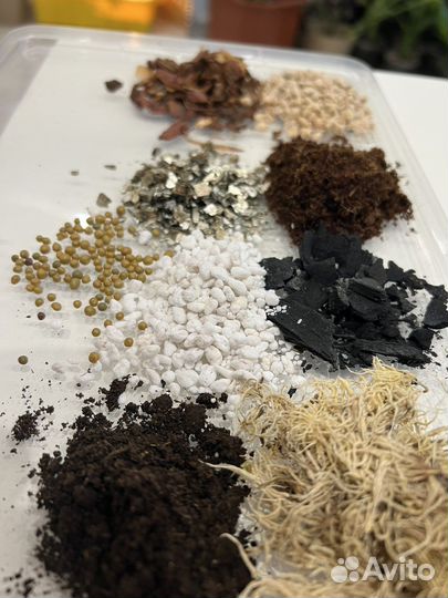 Грунт для ароидных