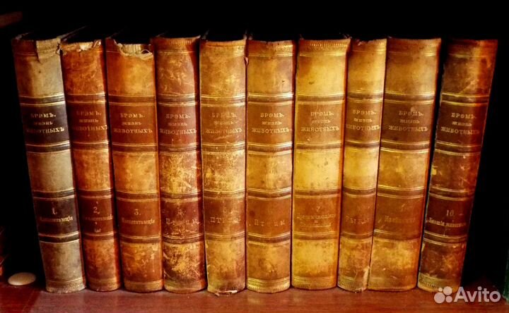 Продам старые книги