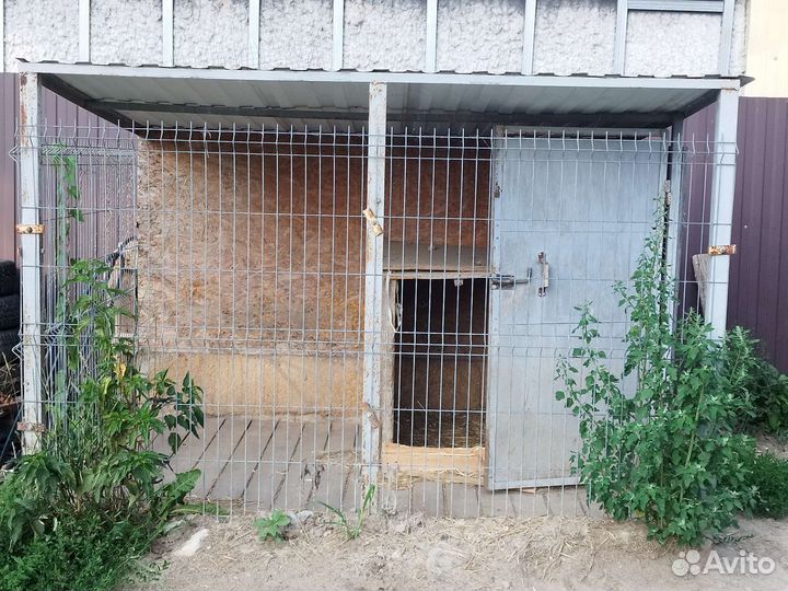 Вольер для собак