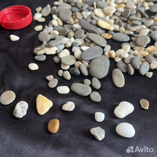 Морские камушки 2-50 мм из Евпатории