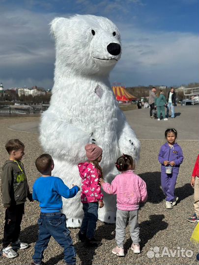 Поздравление белый медведь, Ростовая кукла