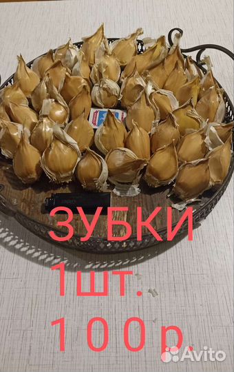 Слоновий чеснок Рокамболь Испанский