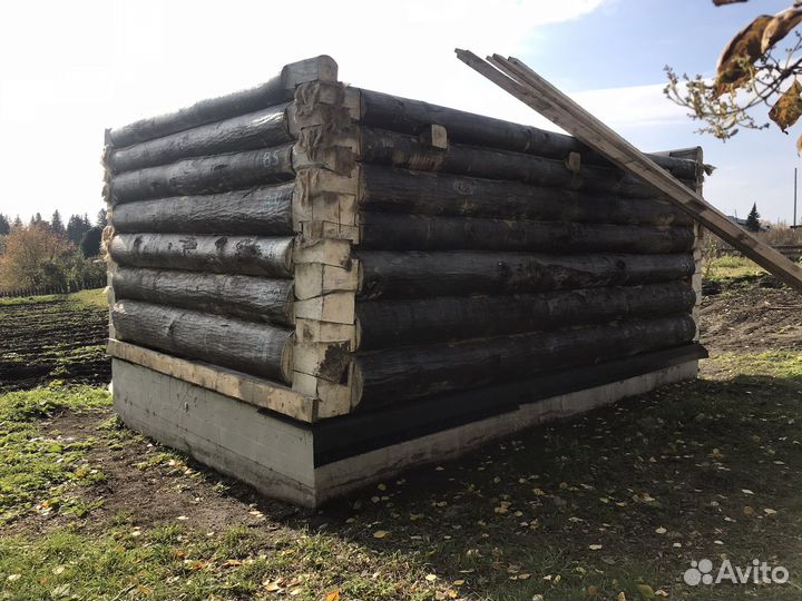 Сруб из осины