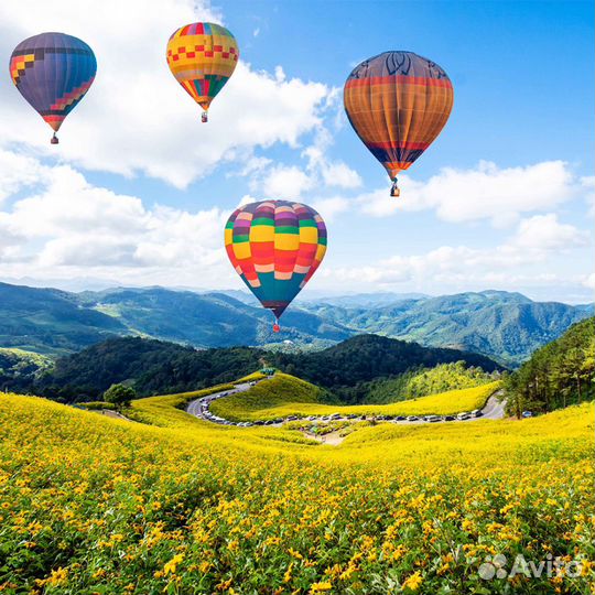 Автобусный тур в Сочи (Адлер) - (У)