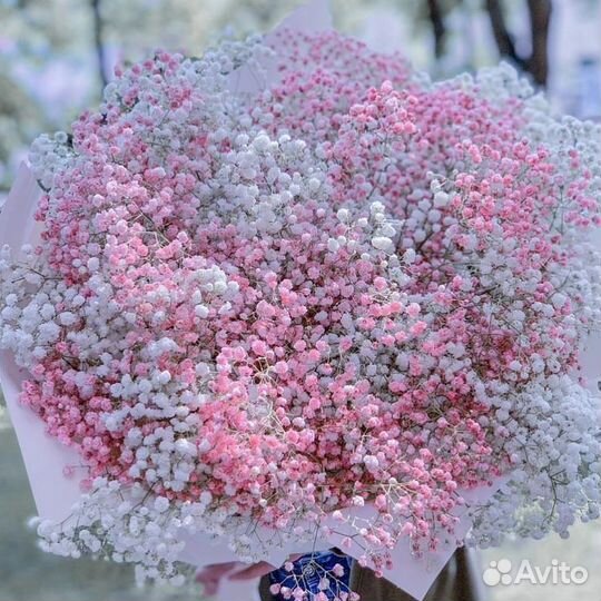 Гипсофила. Букет из Гипсофила