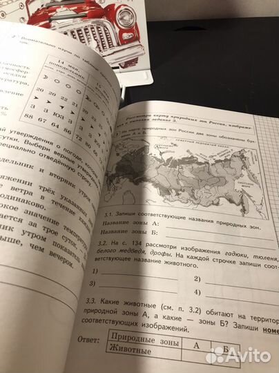 ВПР по окружающему миру