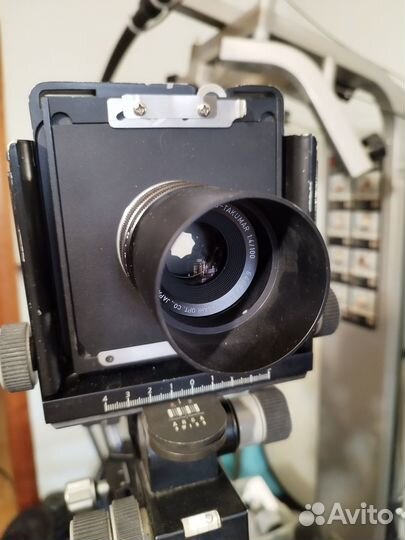 Макро Takumar 100mm f4 М42. Fuji GFX