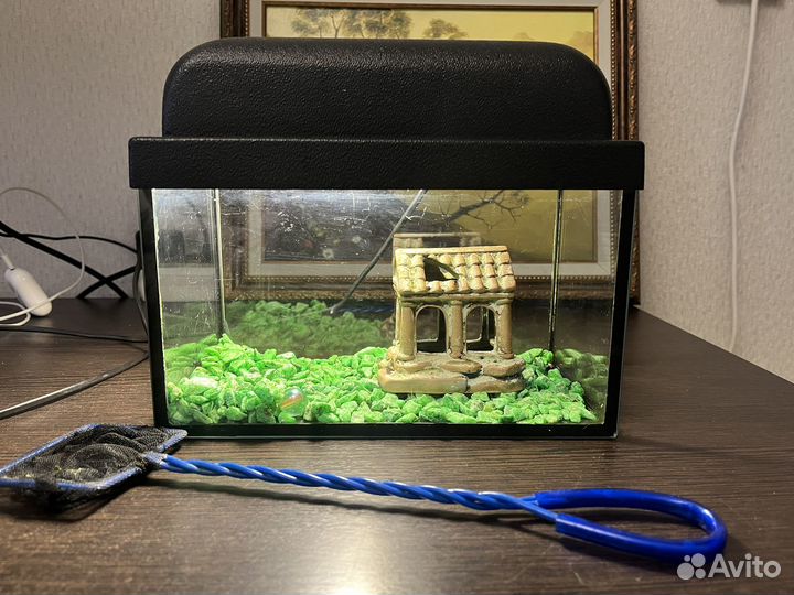 Аквариум