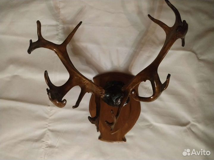 Рога оленя и косули на медальоне