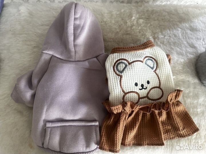 Одежда для маленьких собак xs