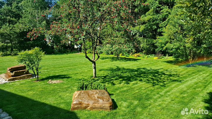 Газон рулонный