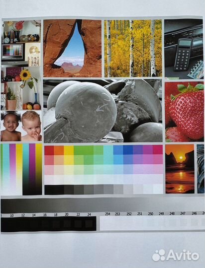 Цветной струйный принтер Epson l800