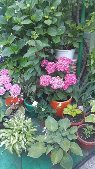 Комната 18 м² в 1-к., 1/2 эт.