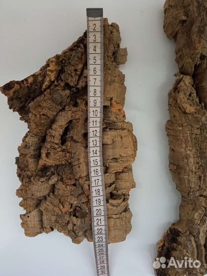 Орхидеи. Пробковые блоки из дуба