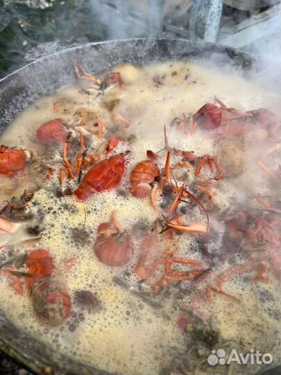 Живые и вереные раки