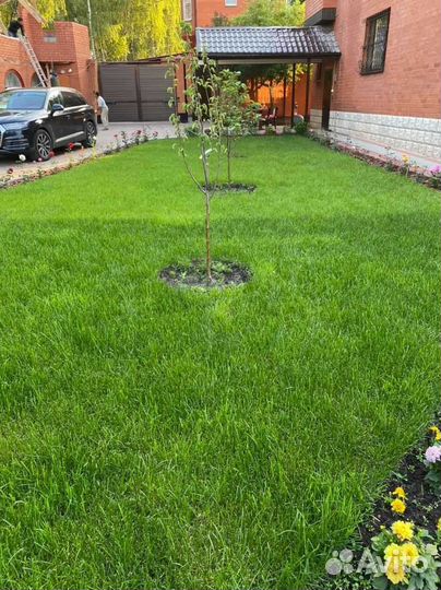 Укладка и продажа газона