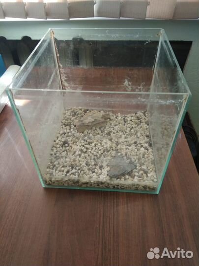 Аквариум куб 20 л для креветок и мелких рыбок
