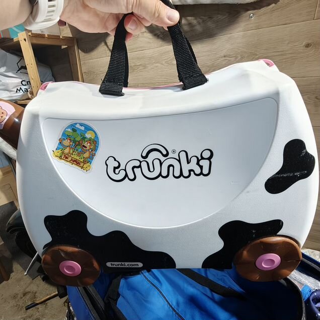 Детский чемодан-каталка Trunki