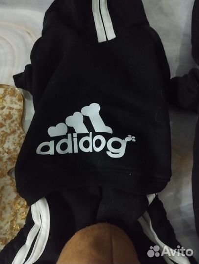 Одежда для маленьких собак бу