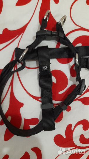 Шлейка для собаки