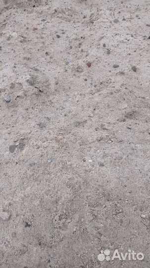 Приму грунт неплодородный