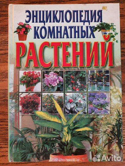 Энциклопедия комнатных растений