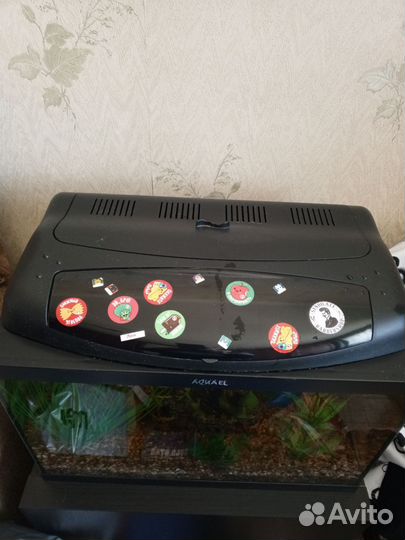 Аквариум полностью оснащён всем 40 литров