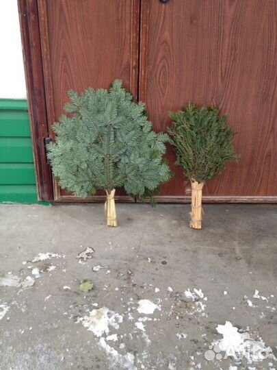 Банные веники для бани и сауны