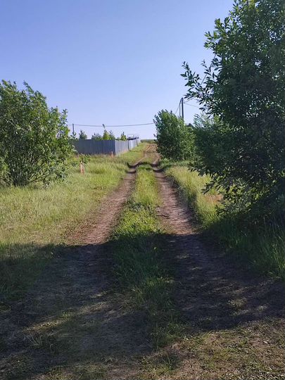 Участок 50 сот. (ИЖС)