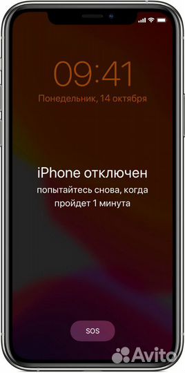 Разблокировка iPhone, iPad, watch