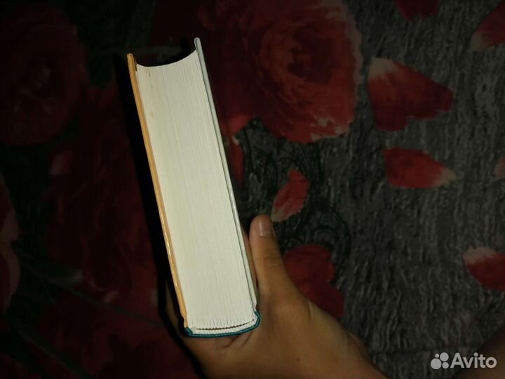 Анатомия человека