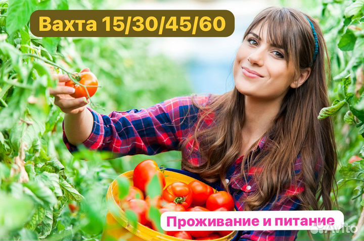 Упаковщик на овощи вахта