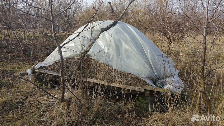 Продам сено