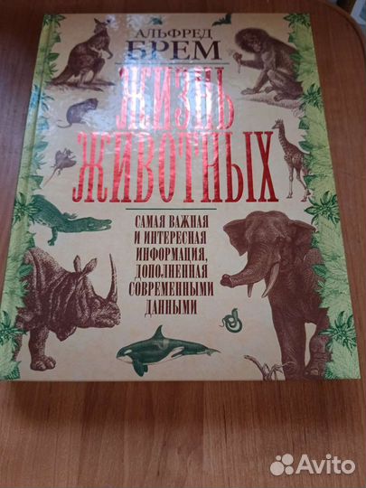 Познавательные книги