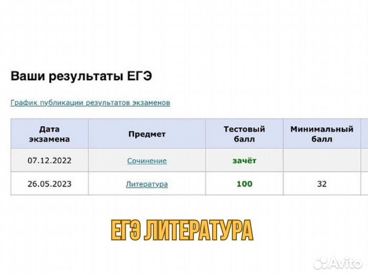 Репетитор по Литературе огэ и егэ
