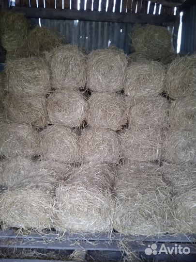 Солома в тюках