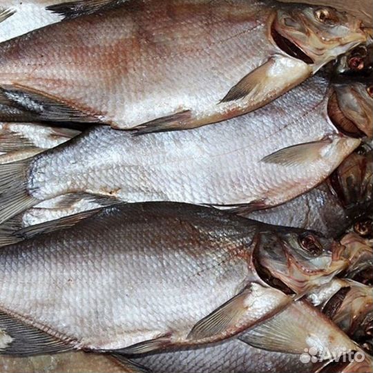 Лещ вяленый