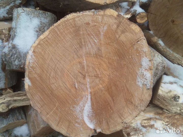 Спилы и пеньки