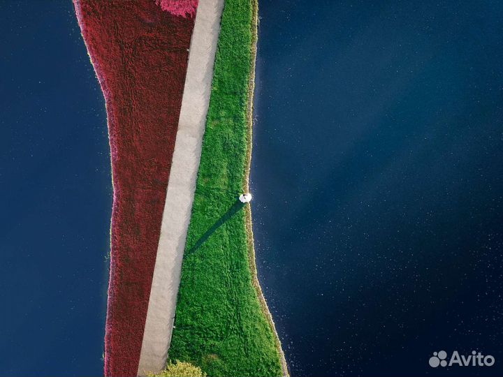 Видеосъемка Видеограф Видеооператор