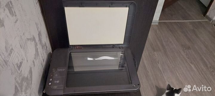 Цветной принтер hp deskjet 2050 all-in-one j510