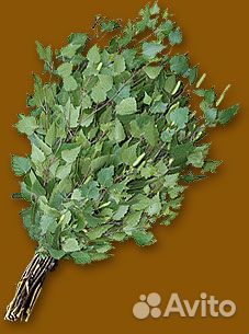 Веники берёзовые, пихтовые, дубовые, бамбуковые