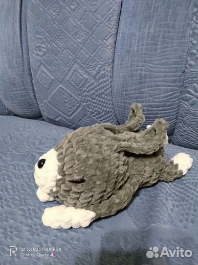 Милый зайка