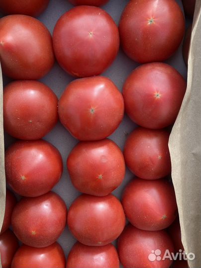 Помидор азербайджан ящик 16кг 3ряда