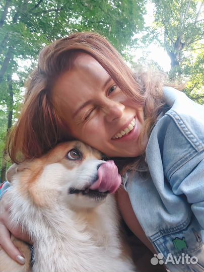 Передержка животных, зооняня, зоотакси, выгул